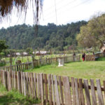 fattoria autosostenibile hermana tierra onlus portici Associazione di volontari laici e cristiani operante in Guatemala
