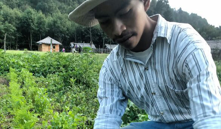 progetto orto comunitario hermana tierra onlus portici Associazione di volontari laici e cristiani operante in Guatemala