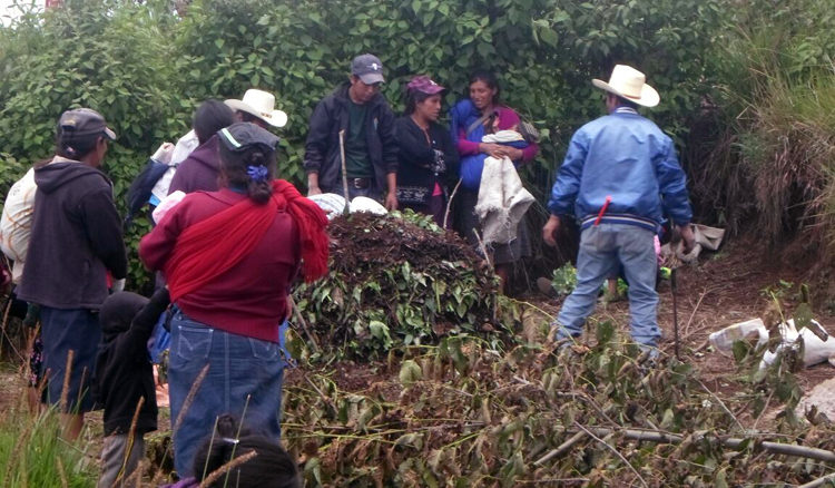 Progetto Orto comunitario Hermana Tierra Onlus in Guatemala
