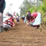 progetto orto comunitario hermana tierra onlus portici Associazione di volontari laici e cristiani operante in Guatemala
