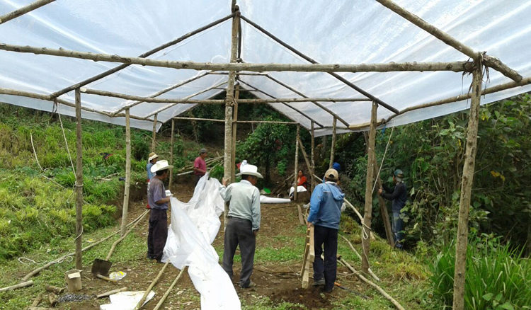 progetto serre hermana tierra onlus portici Associazione di volontari laici e cristiani operante in Guatemala