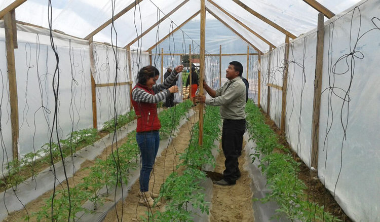 progetto serre hermana tierra onlus portici Associazione di volontari laici e cristiani operante in Guatemala