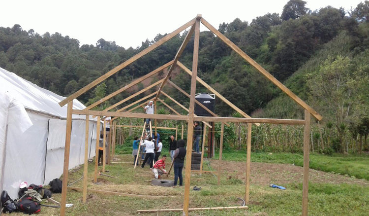 progetto serre hermana tierra onlus portici Associazione di volontari laici e cristiani operante in Guatemala