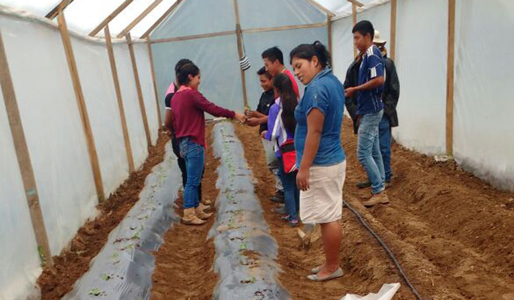 progetto serre hermana tierra onlus portici Associazione di volontari laici e cristiani operante in Guatemala