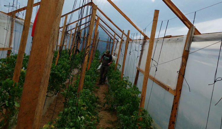 progetto serre hermana tierra onlus portici Associazione di volontari laici e cristiani operante in Guatemala