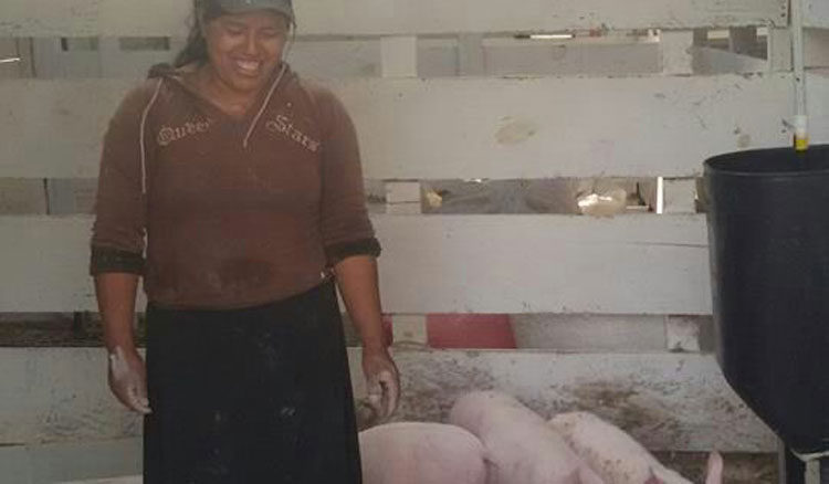 progetto allevamento suini hermana tierra onlus portici Associazione di volontari laici e cristiani operante in Guatemala