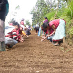 progetto orto comunitario hermana tierra onlus portici Associazione di volontari laici e cristiani operante in Guatemala