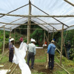 progetto serre hermana tierra onlus portici Associazione di volontari laici e cristiani operante in Guatemala