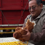 progetto galline ovaiole hermana tierra onlus portici Associazione di volontari laici e cristiani operante in Guatemala