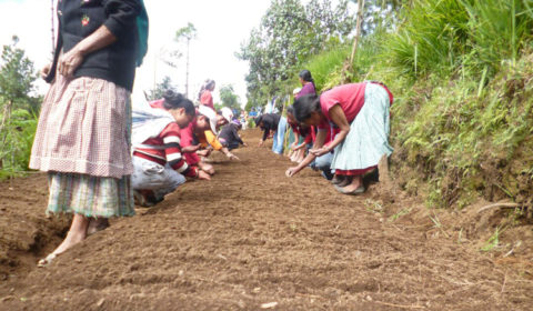 progetto orto comunitario hermana tierra onlus portici Associazione di volontari laici e cristiani operante in Guatemala